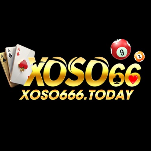 xoso666today's avatar